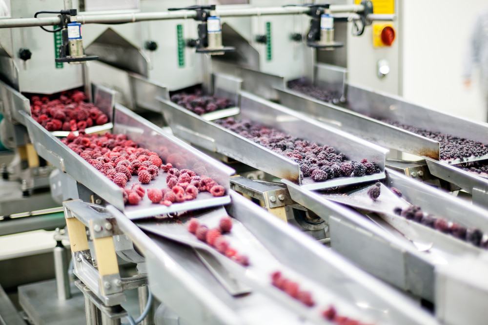 food processing machinery companies