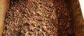 Food Processor Of A New Dimension – Cooking And Roasting With Screw Heat Exchanger