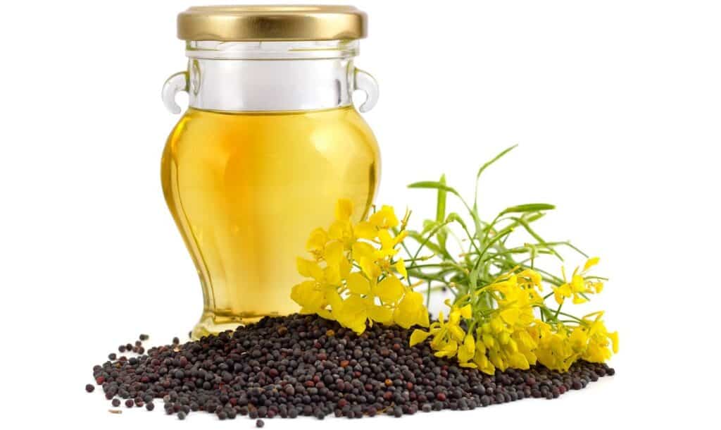 Controlling Moisture in the Rapeseed Oil Extraction Process