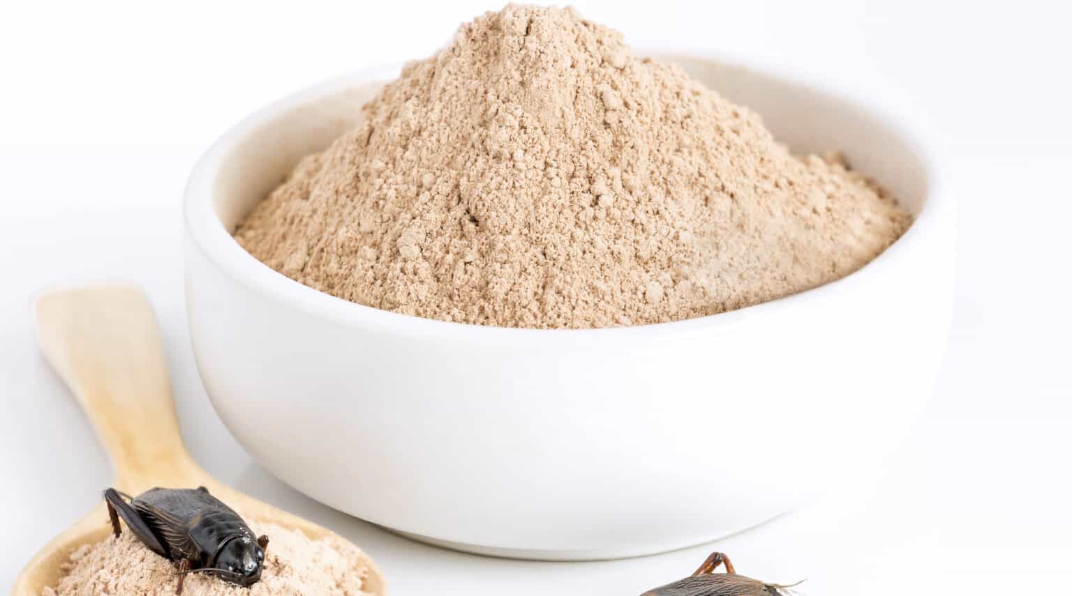 Technology • Innovations and News • BulkInside