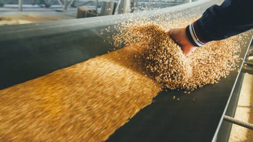 Seven Things to Consider When Improving Moisture Control in Food Production