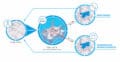Digital Twin: More Knowledge for More Efficient Use