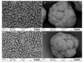 Research Highlights the Feasibility of Predicting 3D Print Quality from Powder Properties