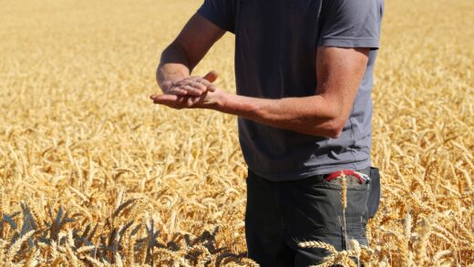 Why Should I Care About Moisture?