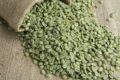Cimbria Expands Its Green Coffee Activities In South America