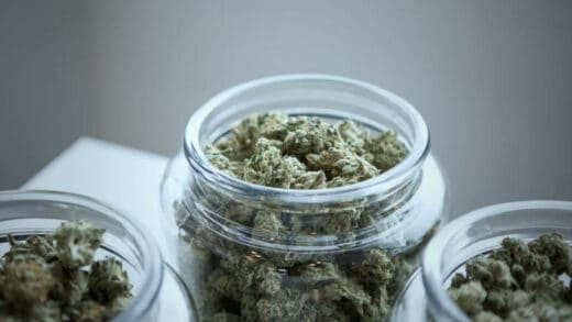 The Role Moisture Meters Play in the Cannabis Industry