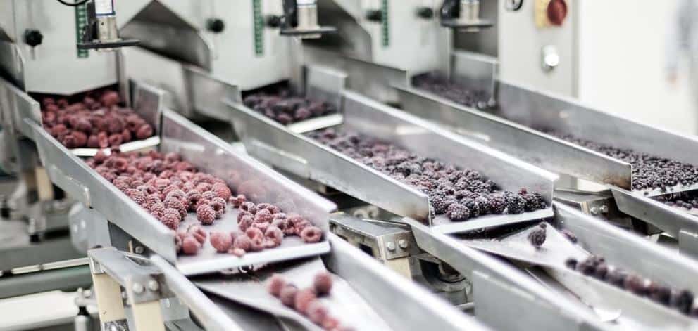 Innovations in dry bulk food processing and handling • BulkInside