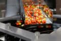 The Importance of Particle Size Distribution in Pharmaceuticals