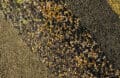 Moisture Control in Animal Feed Production