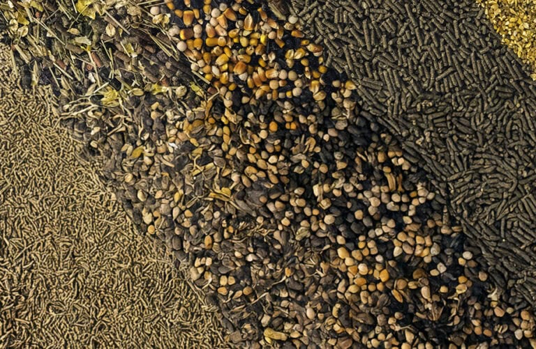 Moisture Control in Animal Feed Production • BulkInside