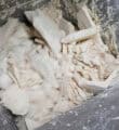 Lump Breaker Transforms Slurries Into Elongated Pellets