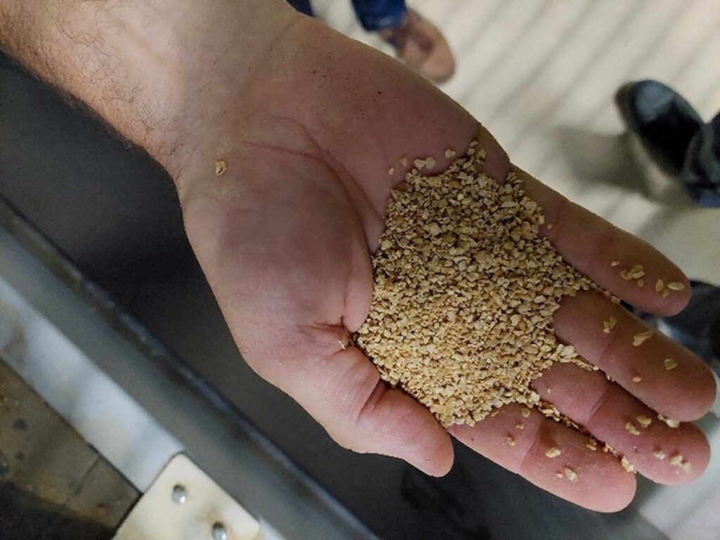 animal feed