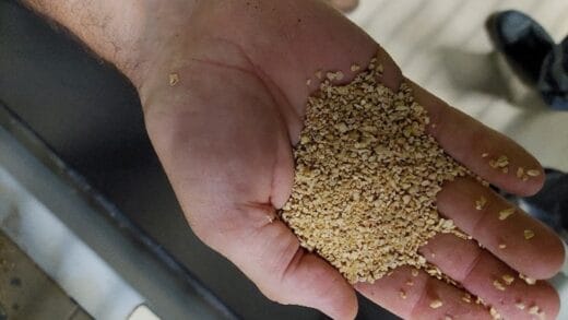 A Carbon Neutral Approach to Enhancing the Nutritional Value of Animal Feed