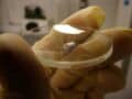 Storing and Handling Powders and Bulk Materials for the Pharma Industry