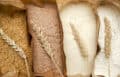 The Importance of Moisture Measurement and Control in Flour Milling