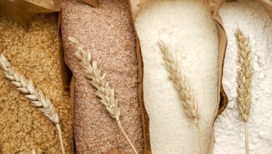 The Importance of Moisture Measurement and Control in Flour Milling