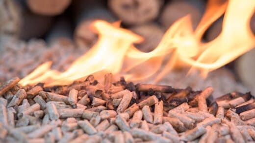 Conveying biomass – The Four Essential Conveyor Belt Properties