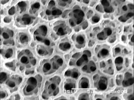 Porosity and Surface Area Characterization 2026